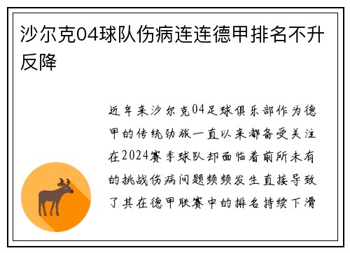 沙尔克04球队伤病连连德甲排名不升反降